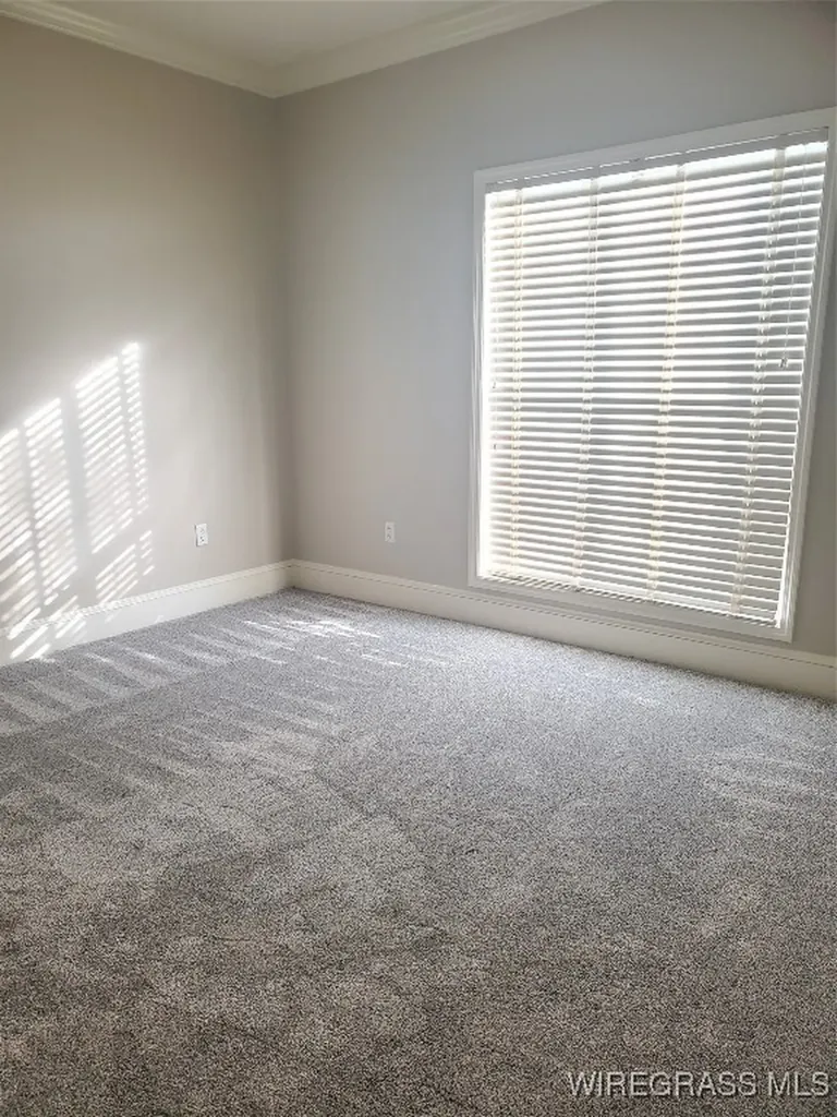 209 Shadow Wood Lane Ozark AL 36360