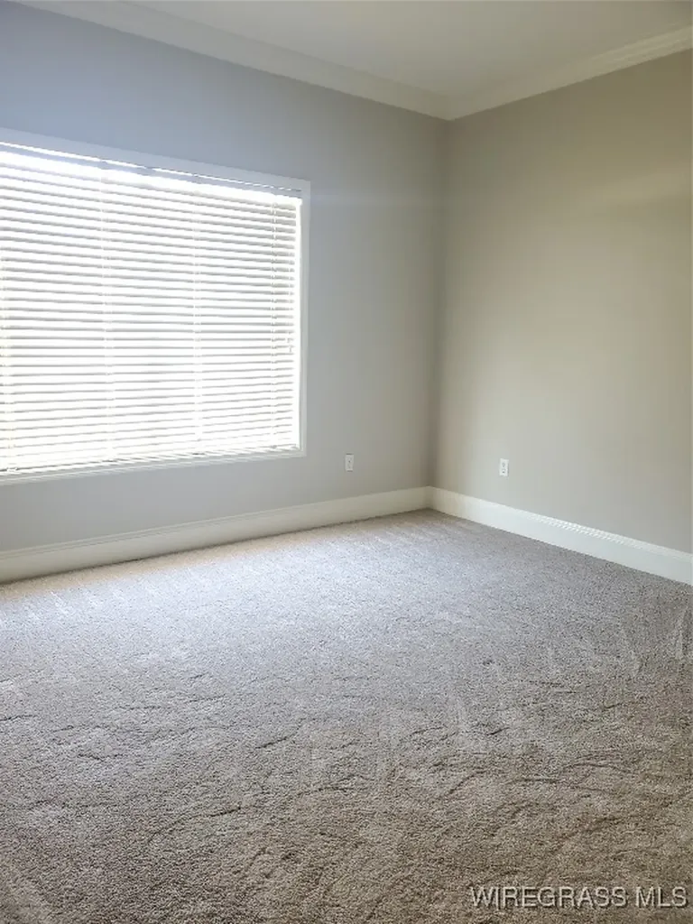 209 Shadow Wood Lane Ozark AL 36360