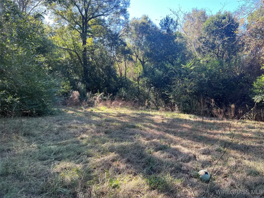 452 S Jackson Street Andalusia AL 36420