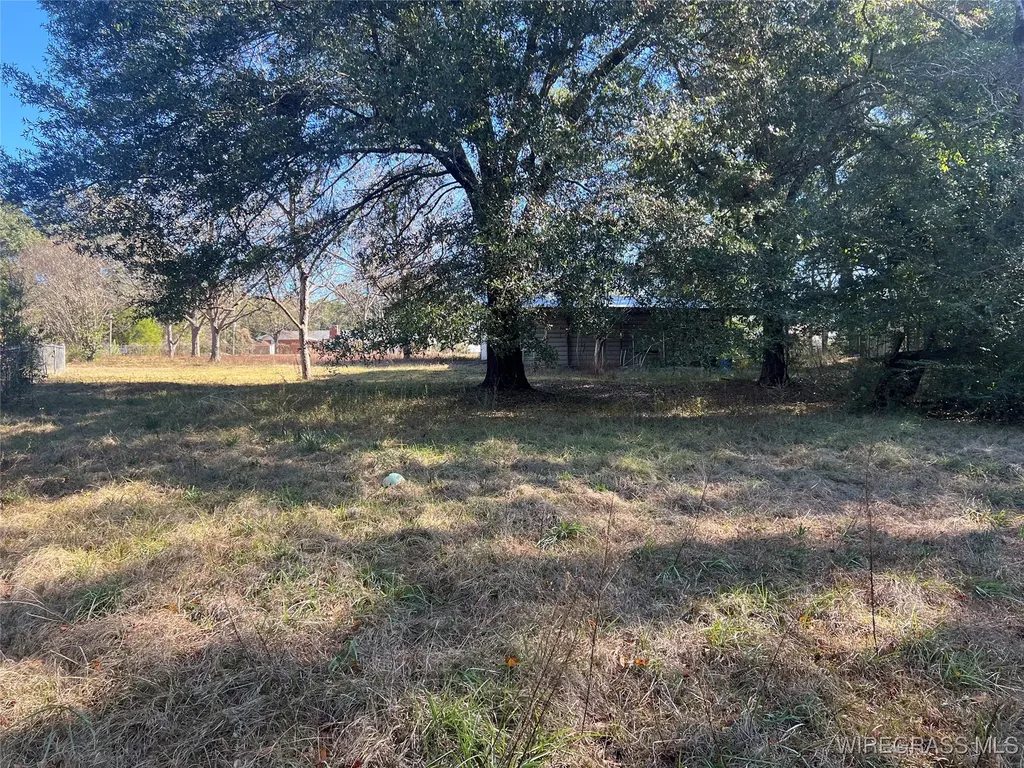 452 S Jackson Street Andalusia AL 36420