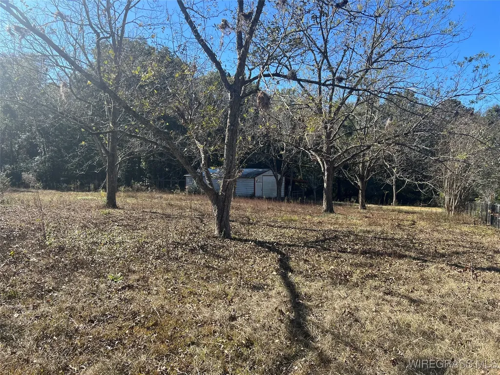 452 S Jackson Street Andalusia AL 36420