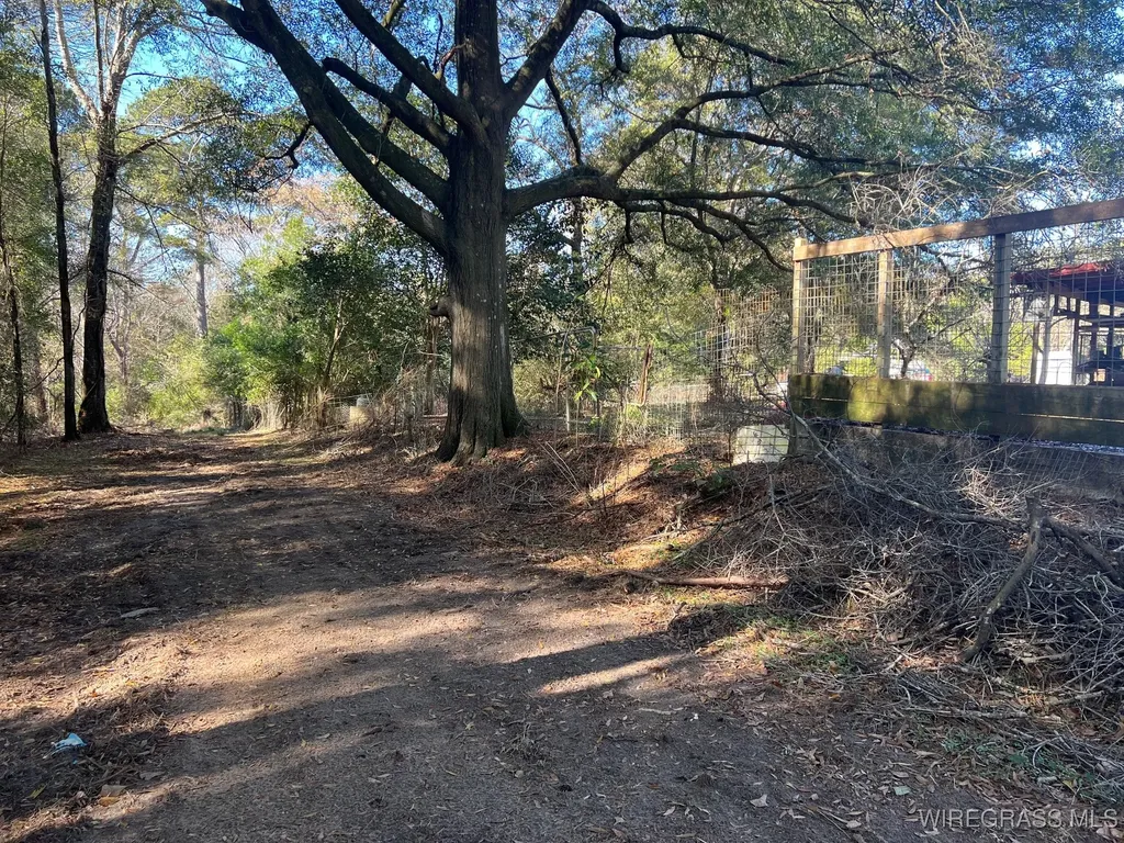 452 S Jackson Street Andalusia AL 36420