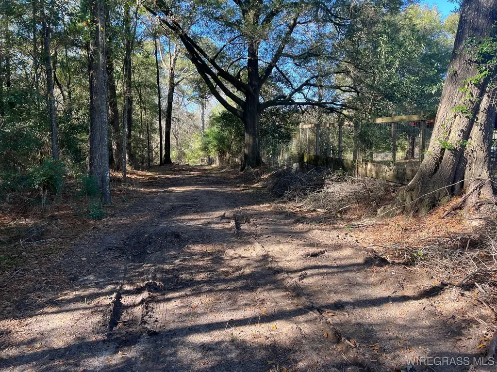 452 S Jackson Street Andalusia AL 36420