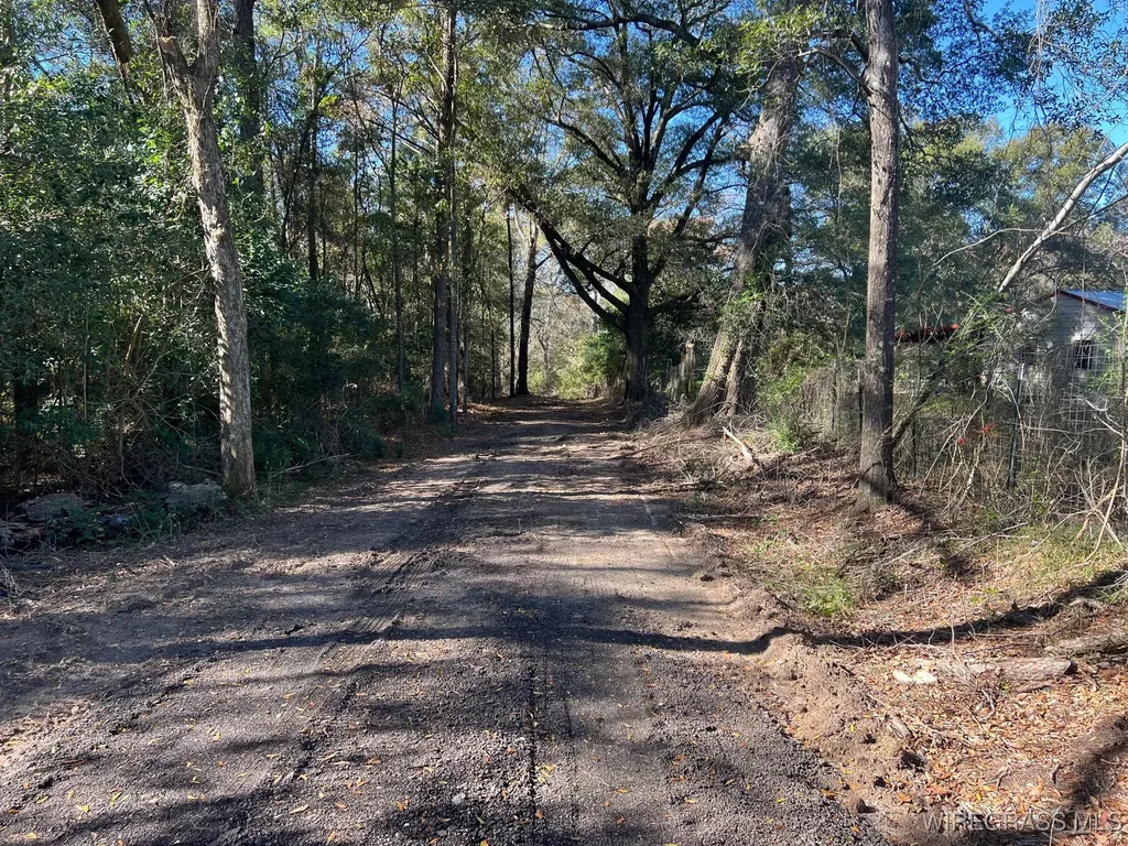 452 S Jackson Street Andalusia AL 36420