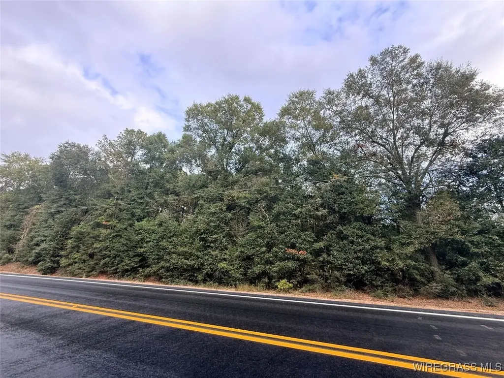 0 Highway 87 Highway Elba AL 36323