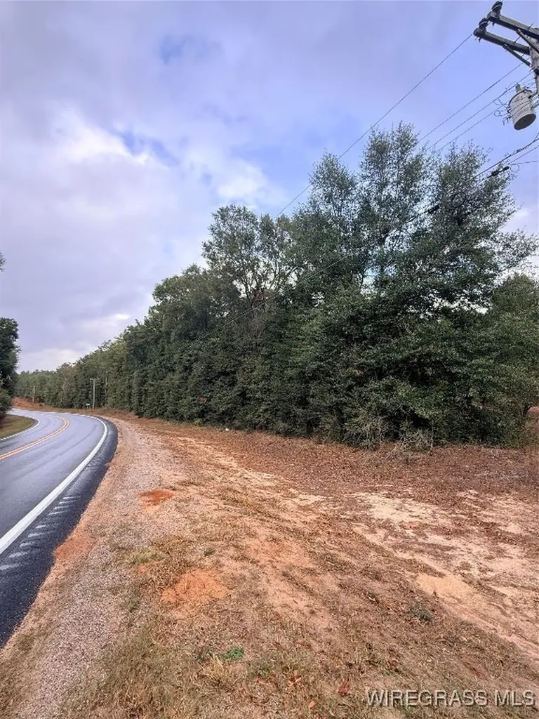 0 Highway 87 Highway Elba AL 36323