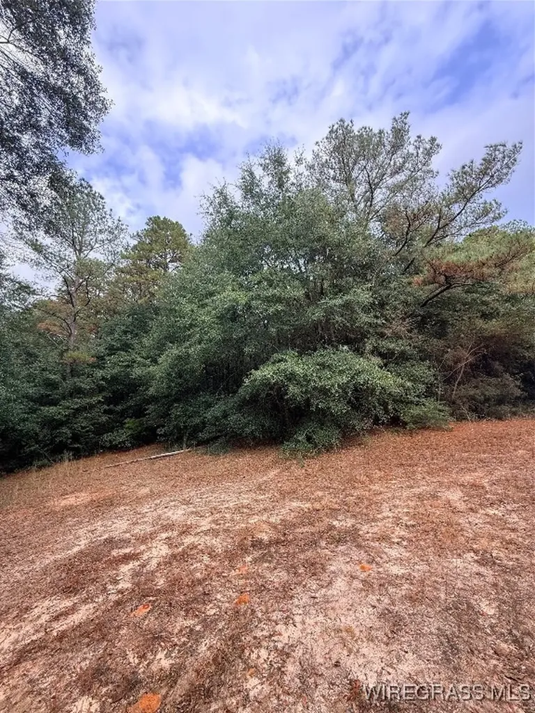 0 Highway 87 Highway Elba AL 36323