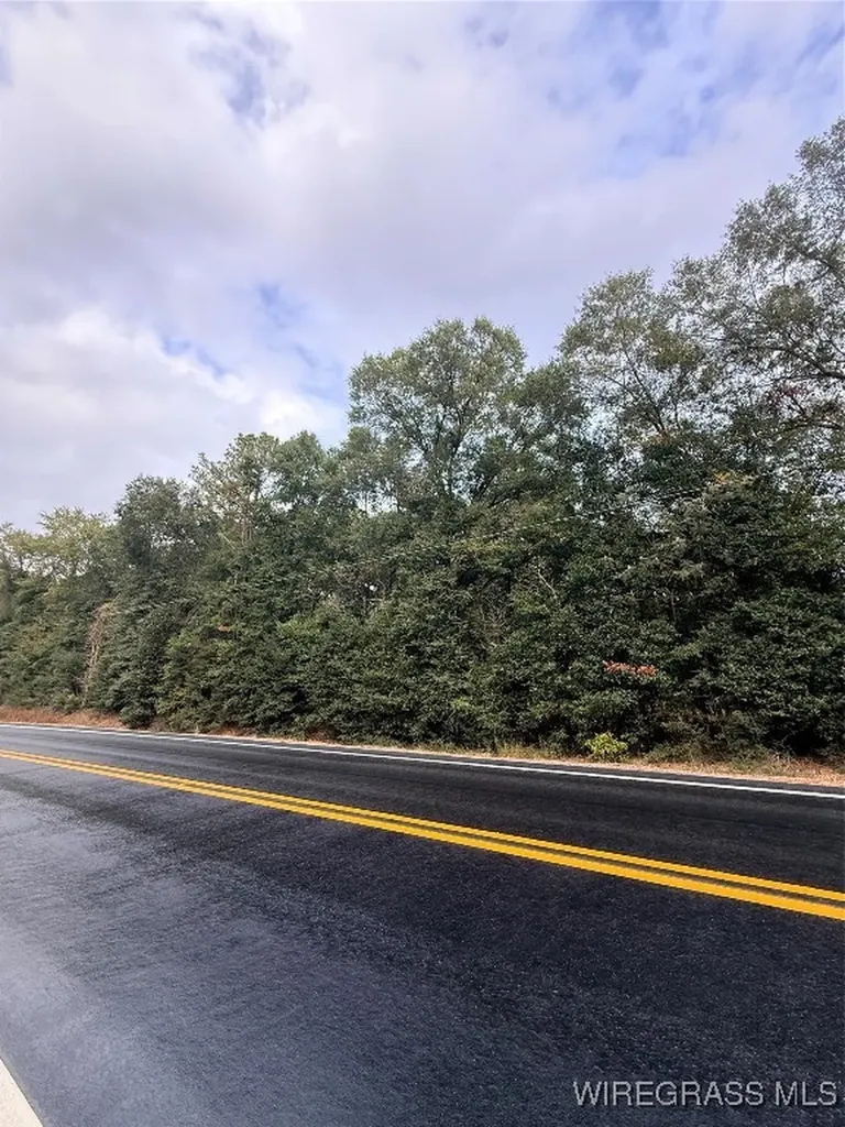 0 Highway 87 Highway Elba AL 36323