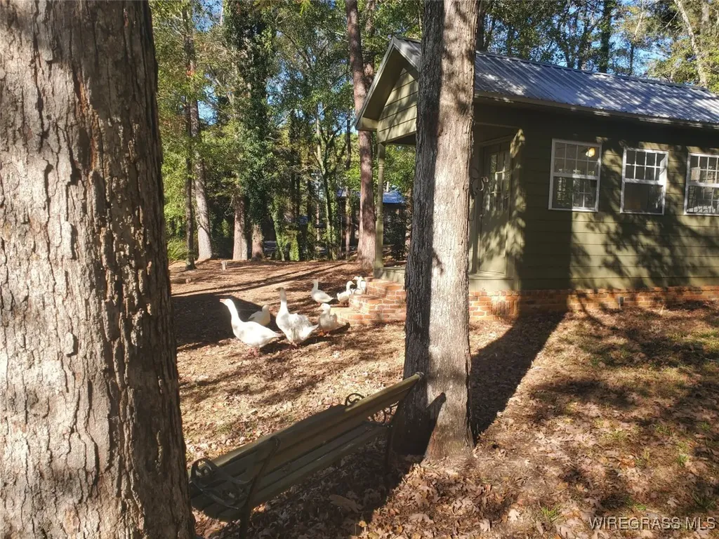 295 Stuart Tarter Road Ozark AL 36360