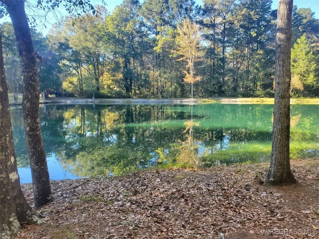 295 Stuart Tarter Road Ozark AL 36360