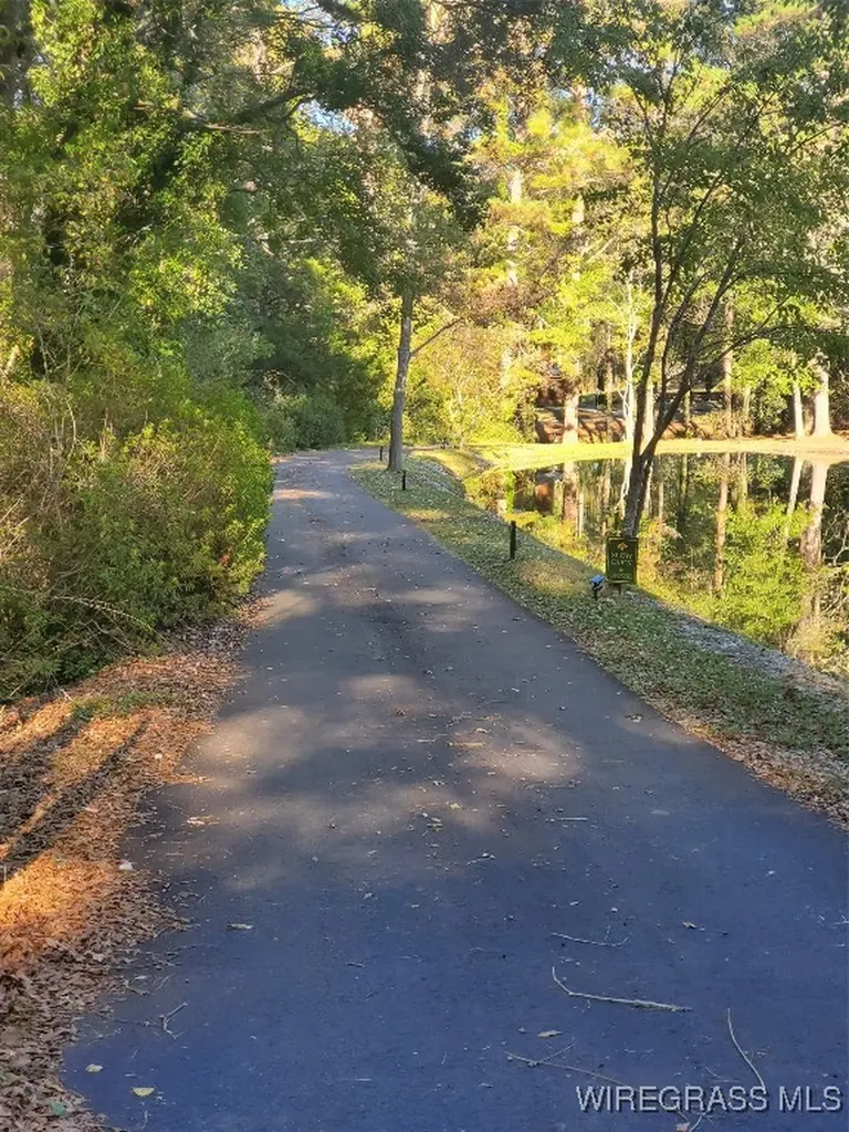 295 Stuart Tarter Road Ozark AL 36360