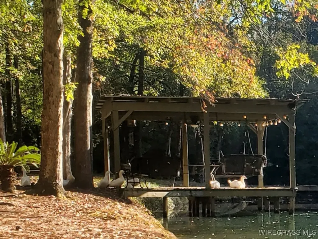 295 Stuart Tarter Road Ozark AL 36360
