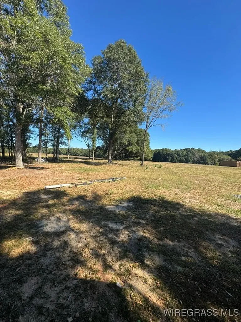 0 E Skyline Avenue Geneva AL 36340