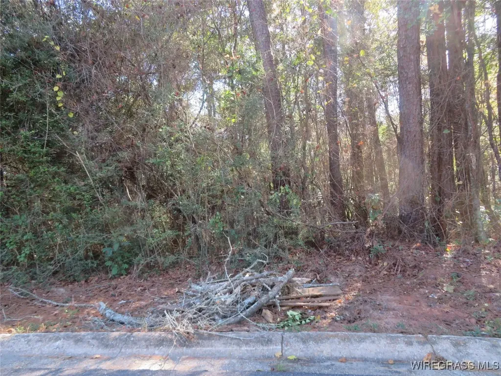 0 Oakwood Drive Enterprise AL 36330