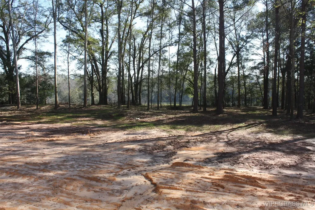 1888 County Road 711 Enterprise AL 36330