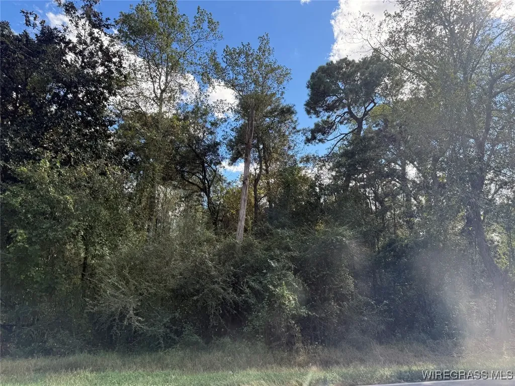 0 County Road 636 Enterprise AL 36330