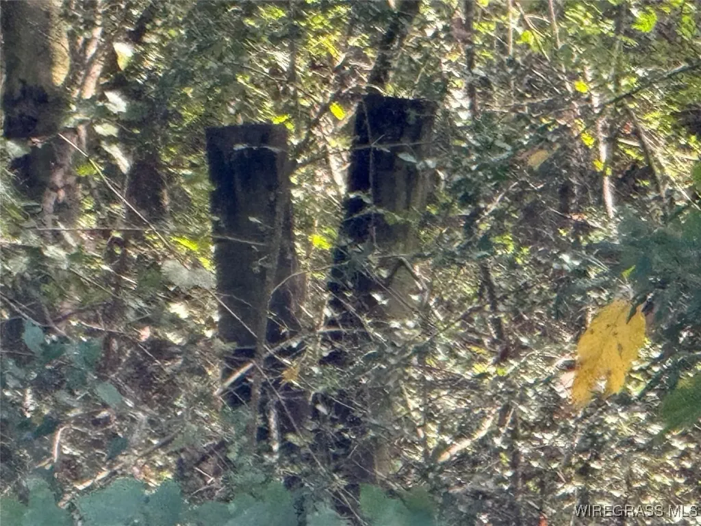 0 County Road 636 Enterprise AL 36330