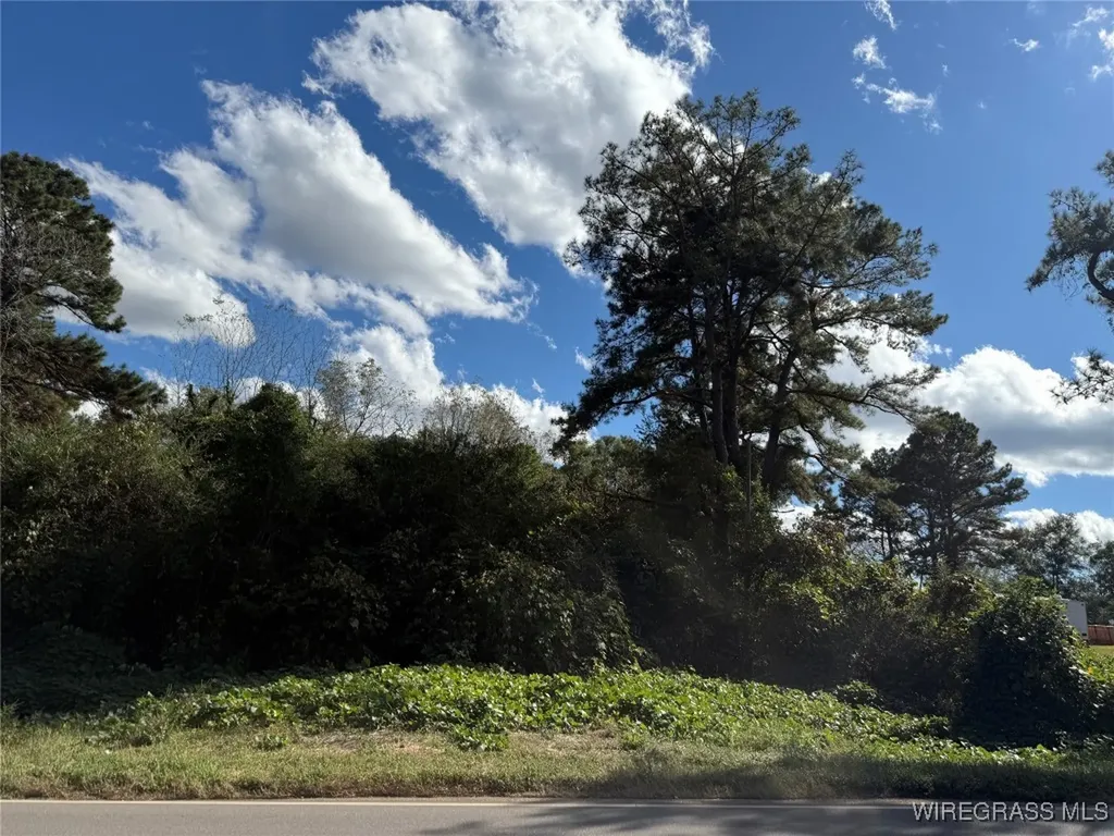 0 County Road 636 Enterprise AL 36330