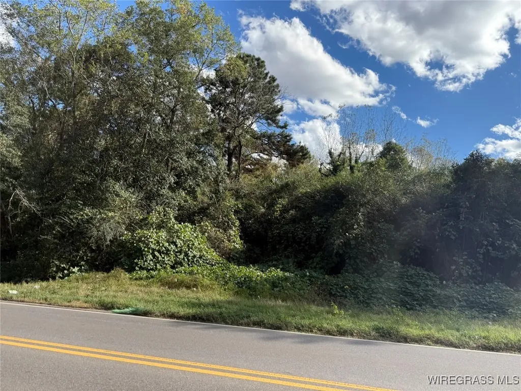 0 County Road 636 Enterprise AL 36330