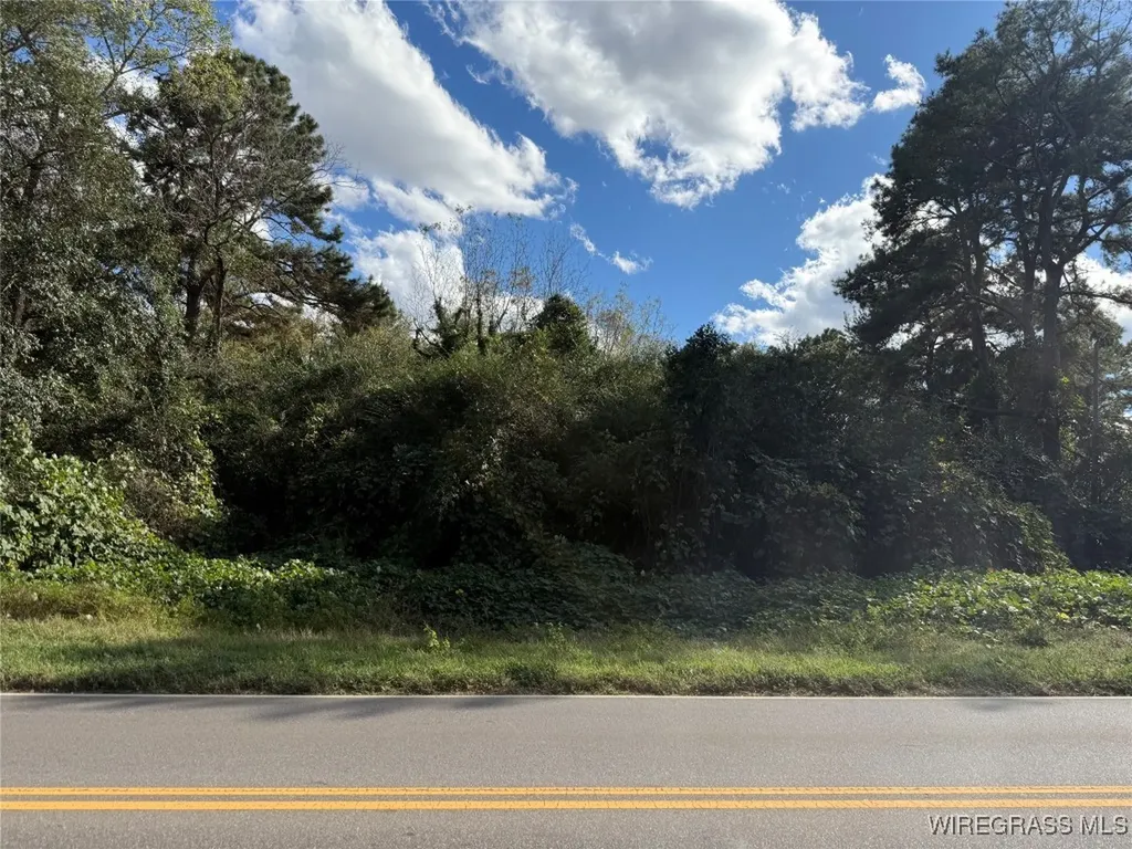 0 County Road 636 Enterprise AL 36330