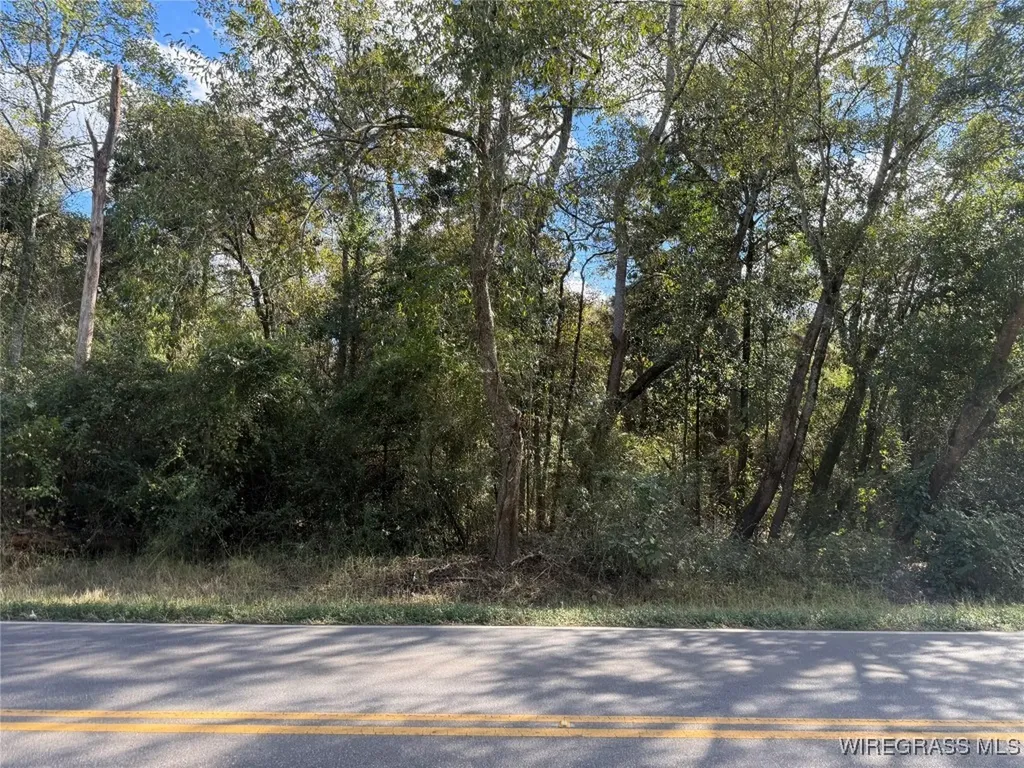 0 County Road 636 Enterprise AL 36330