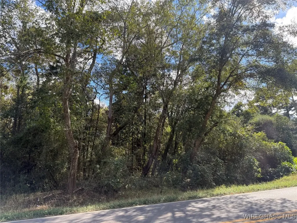 0 County Road 636 Enterprise AL 36330