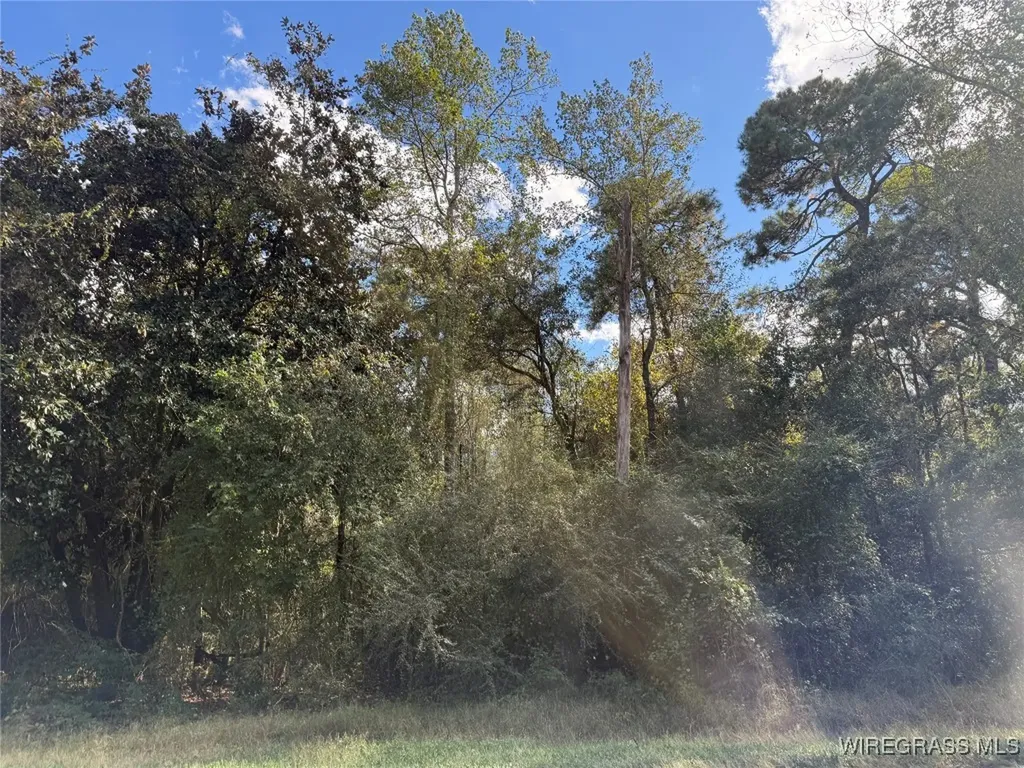 0 County Road 636 Enterprise AL 36330