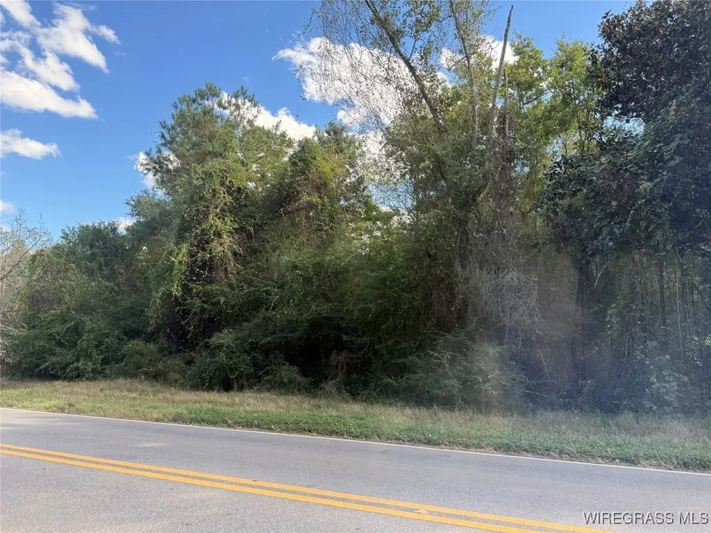 0 County Road 636 Enterprise AL 36330