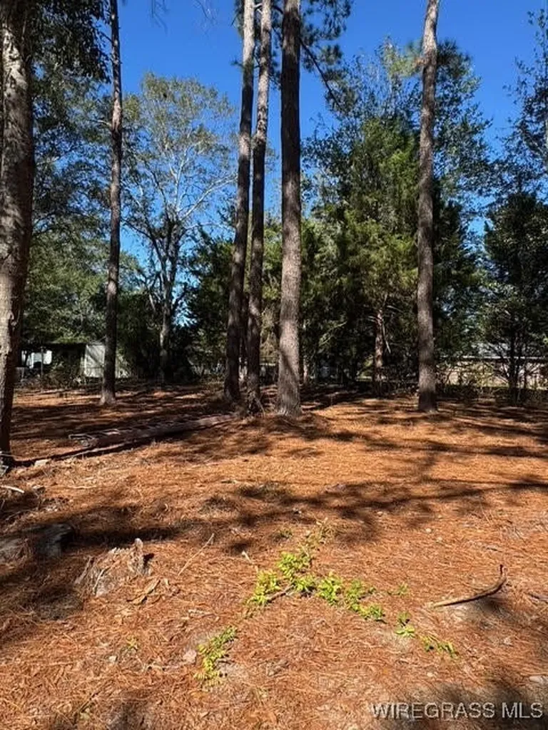 109 Lillian Court Opp AL 36467