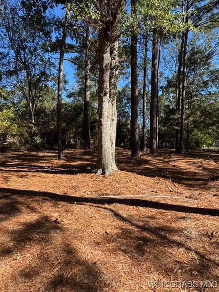 109 Lillian Court Opp AL 36467