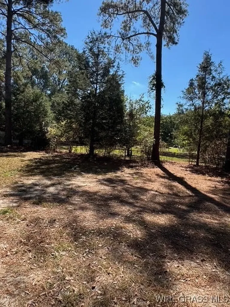 109 Lillian Court Opp AL 36467