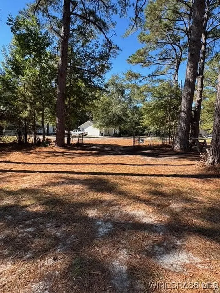 109 Lillian Court Opp AL 36467