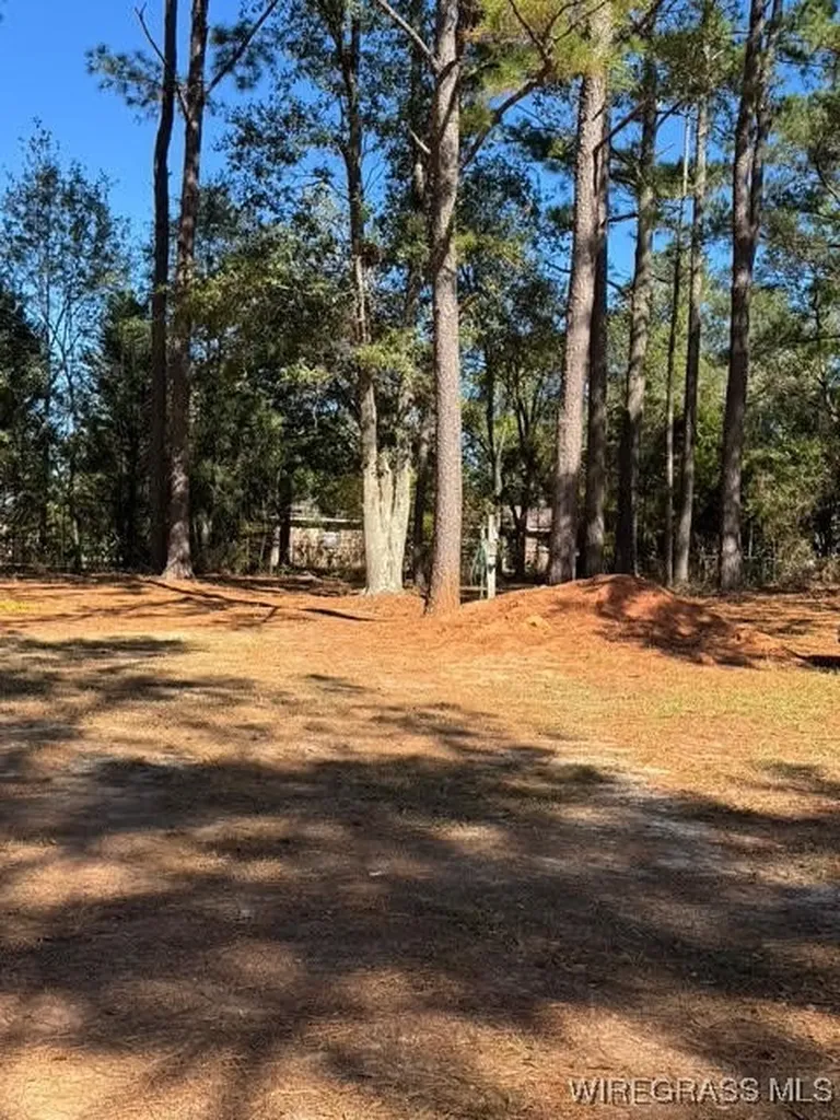 109 Lillian Court Opp AL 36467