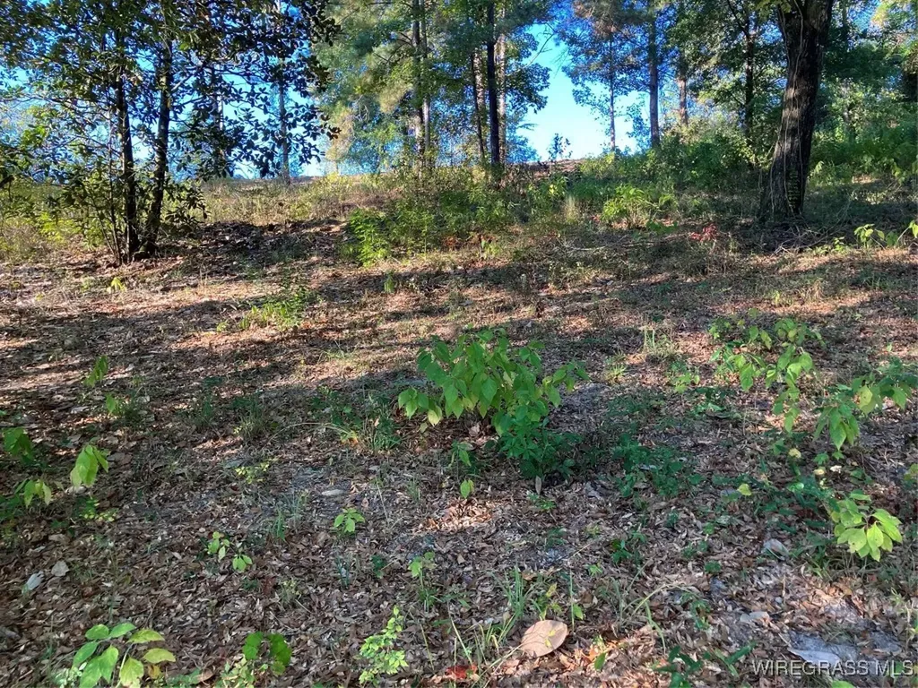 2 Sunshine Road Andalusia AL 36421