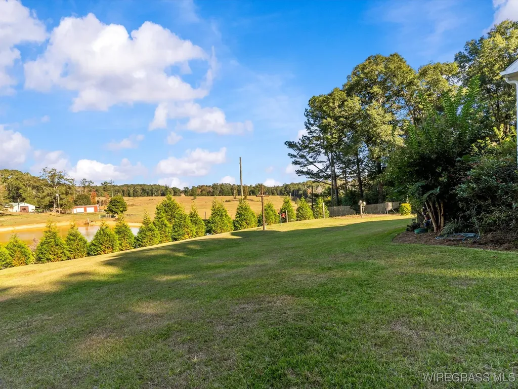 14622 Highway 51 Ariton AL 36311