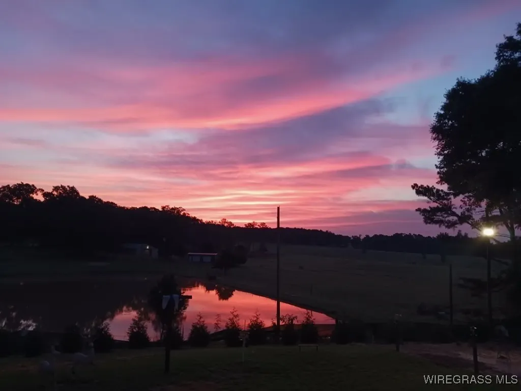 14622 Highway 51 Ariton AL 36311