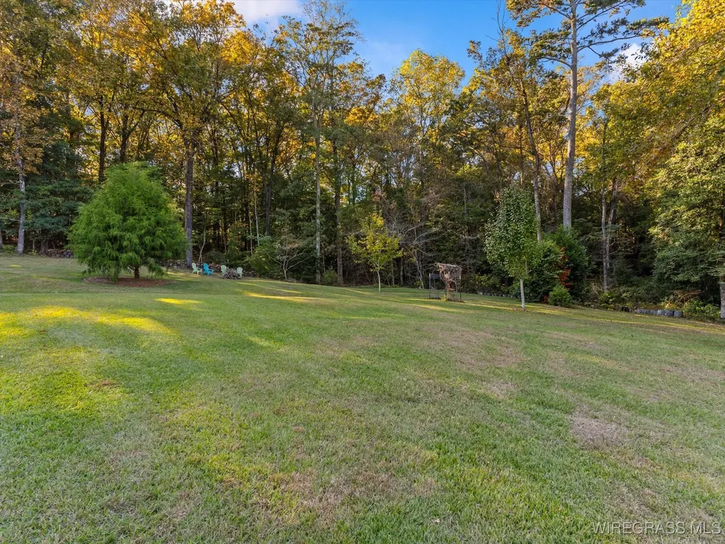 14622 Highway 51 Ariton AL 36311