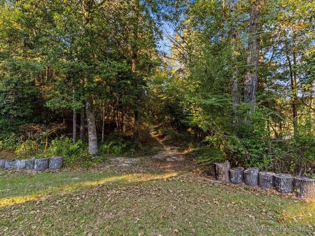 14622 Highway 51 Ariton AL 36311