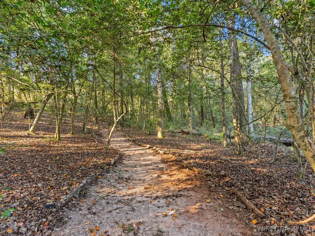 14622 Highway 51 Ariton AL 36311