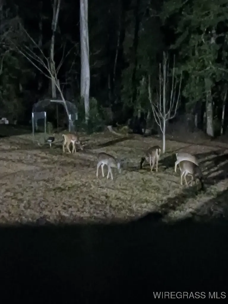 14622 Highway 51 Ariton AL 36311