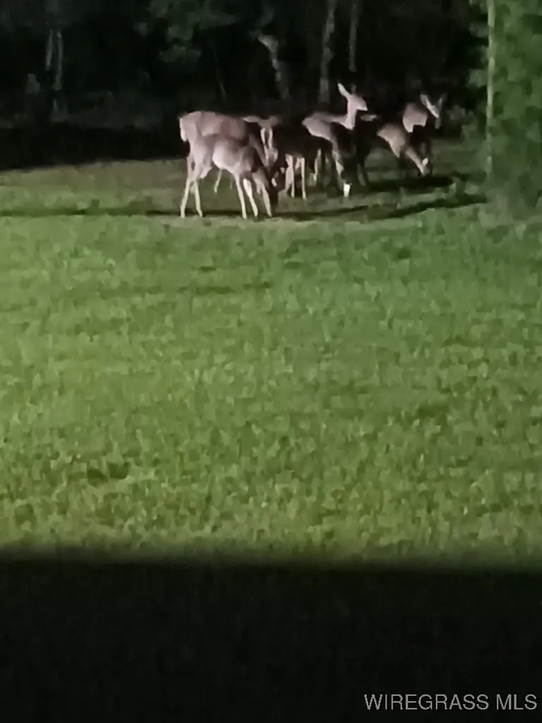 14622 Highway 51 Ariton AL 36311