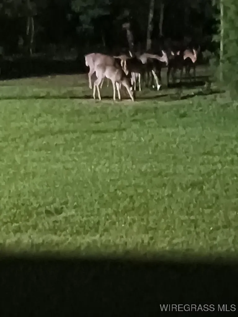 14622 Highway 51 Ariton AL 36311