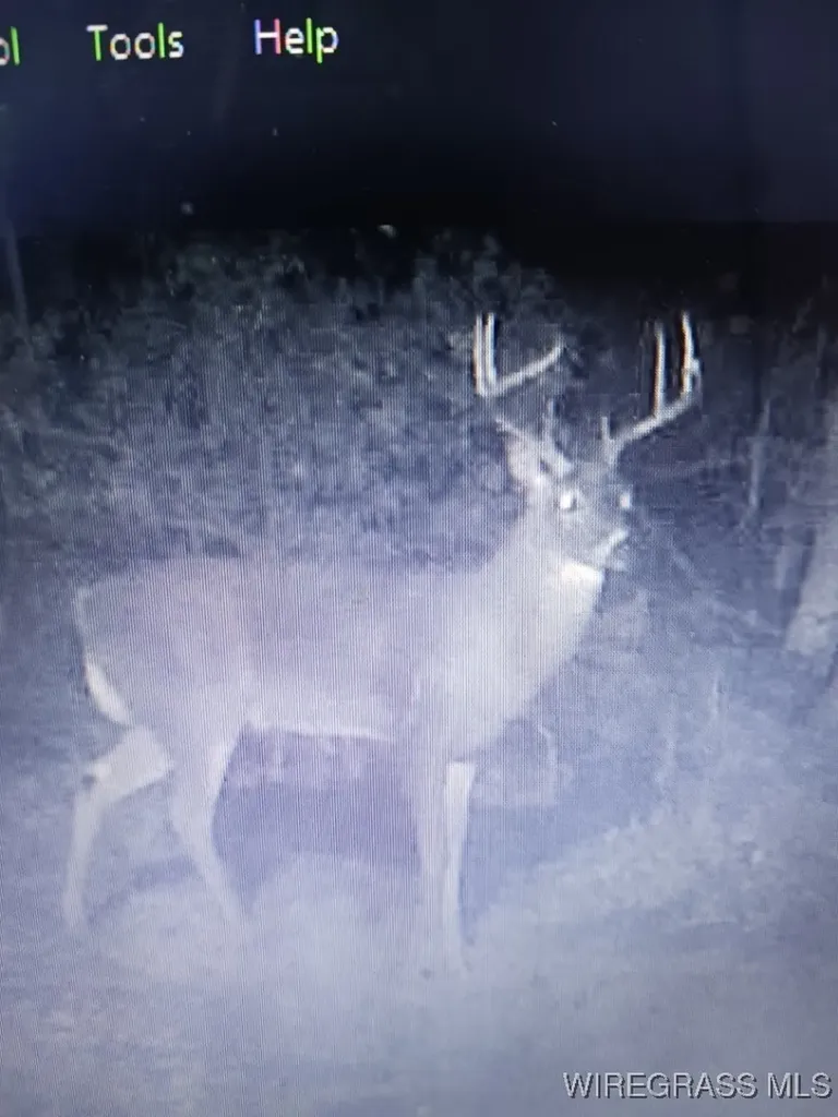 14622 Highway 51 Ariton AL 36311