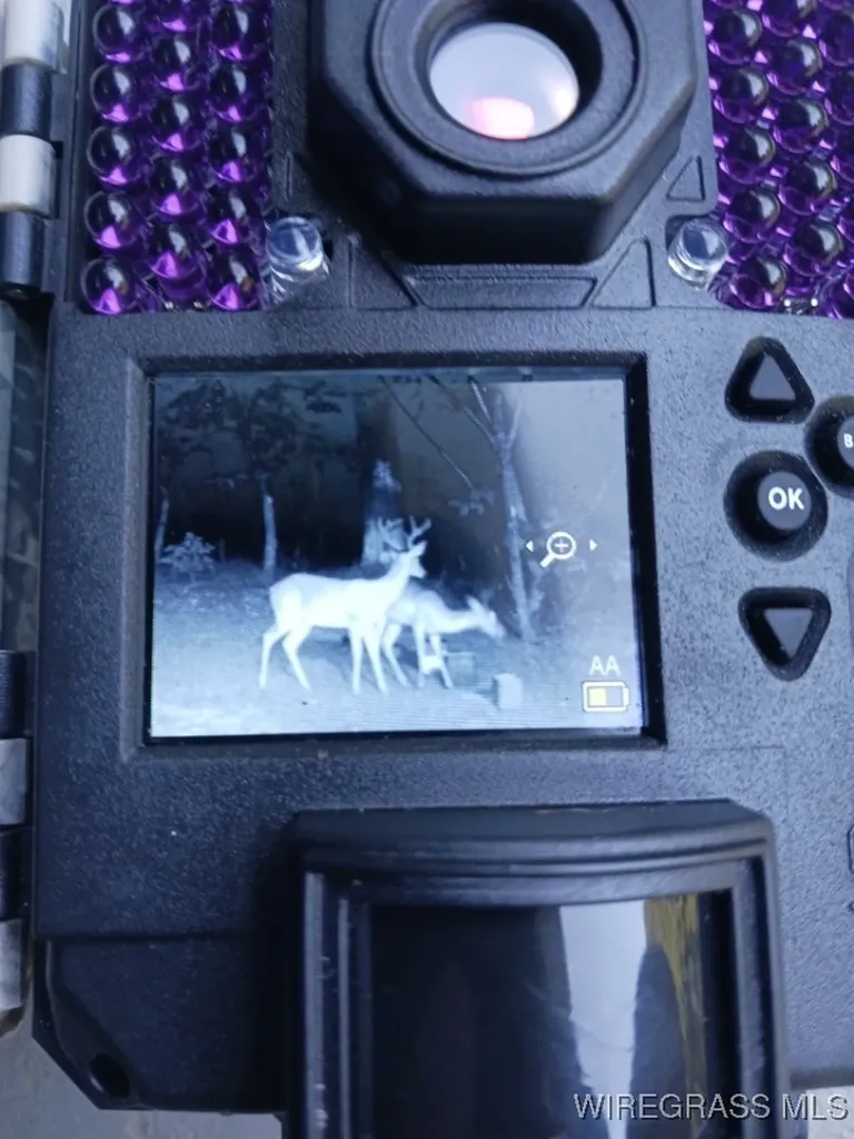 14622 Highway 51 Ariton AL 36311