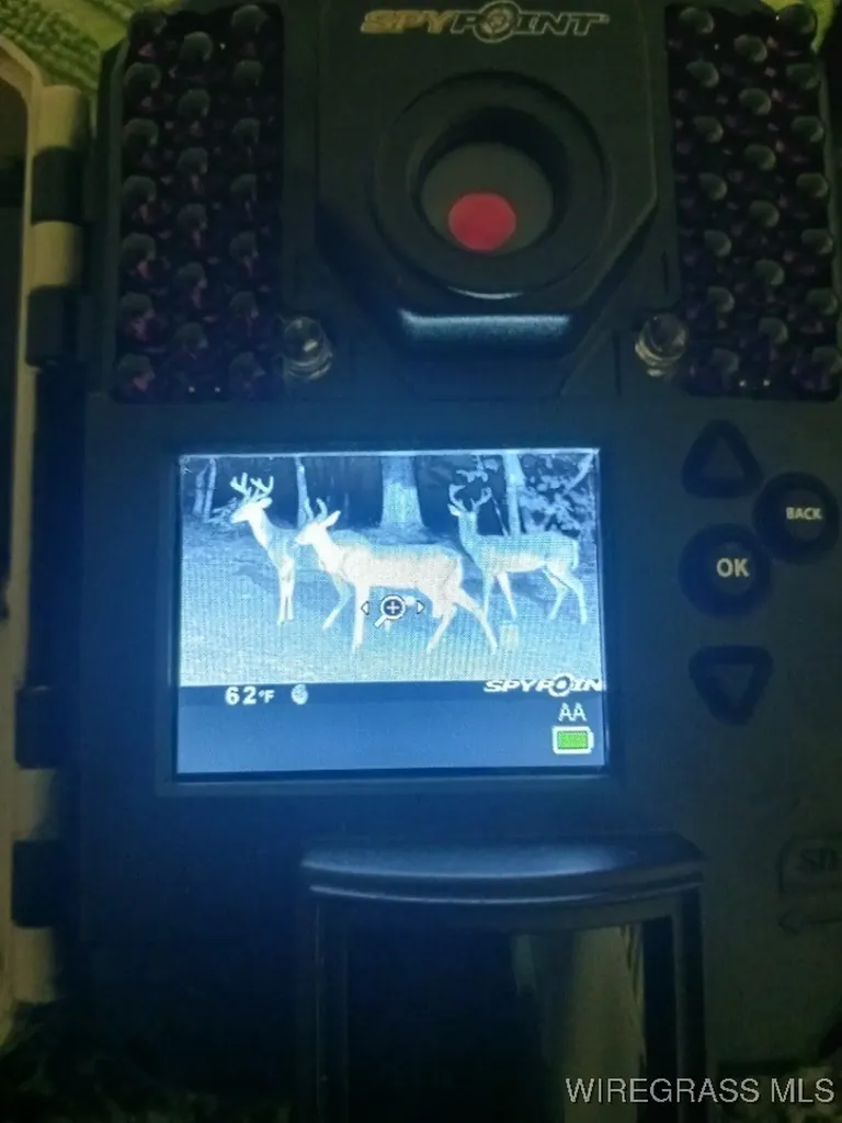 14622 Highway 51 Ariton AL 36311