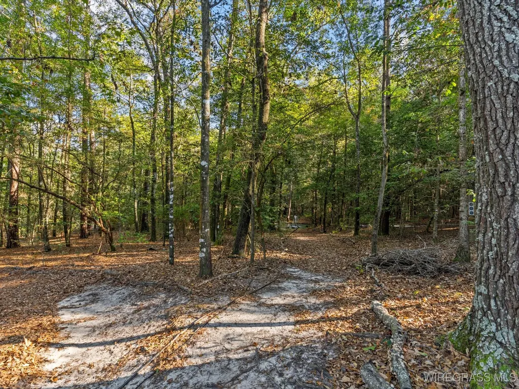 14622 Highway 51 Ariton AL 36311