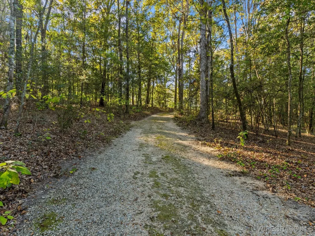 14622 Highway 51 Ariton AL 36311