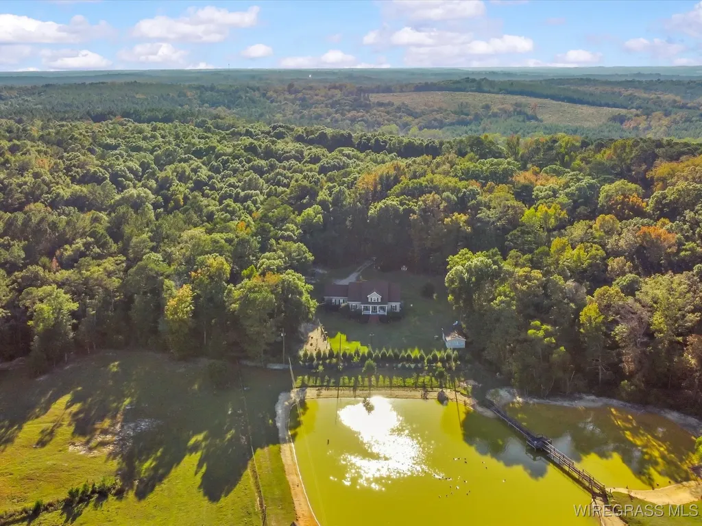 14622 Highway 51 Ariton AL 36311