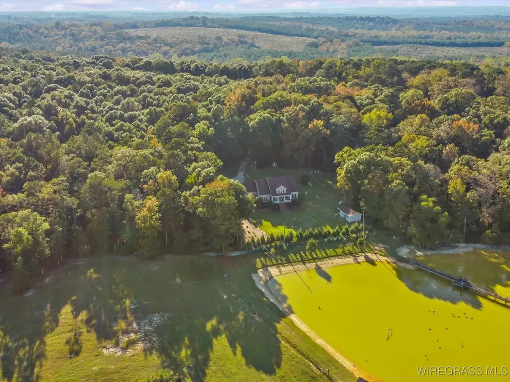 14622 Highway 51 Ariton AL 36311