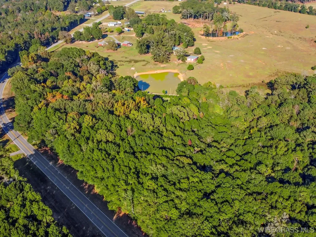 14622 Highway 51 Ariton AL 36311